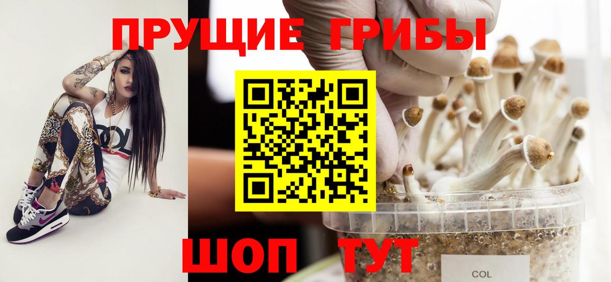 Псилоцибиновые грибы MAGIC MUSHROOMS  Вход с VPN  Холмск  Галлюциногенные грибы GOLDEN TEACHER 